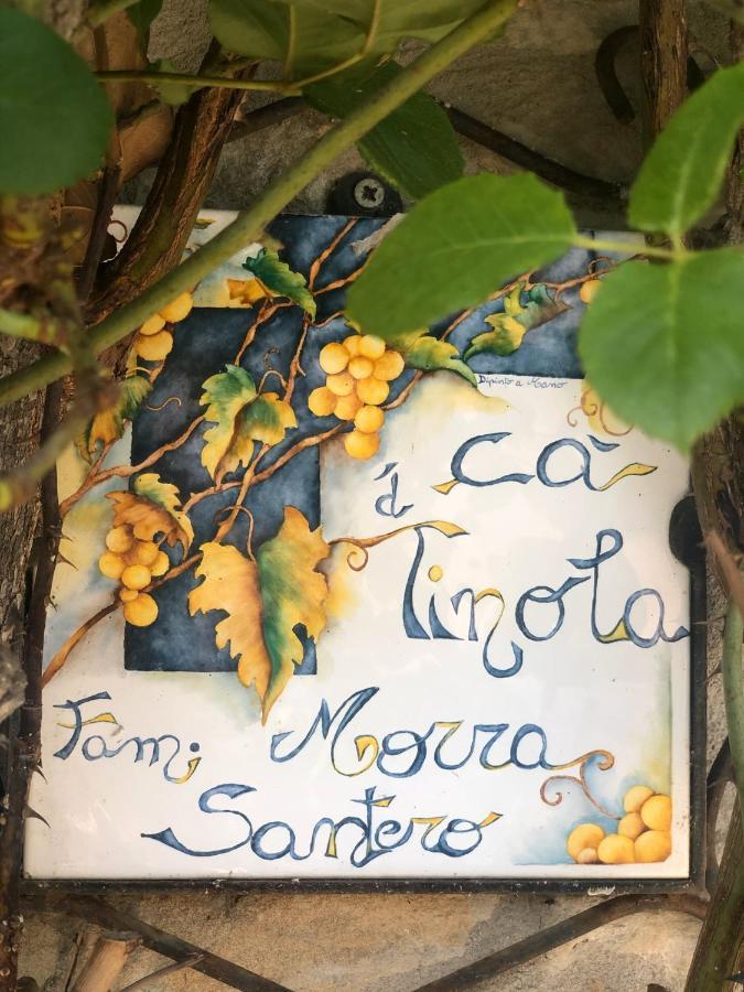 Ca Tinola Hotell Mango Exteriör bild